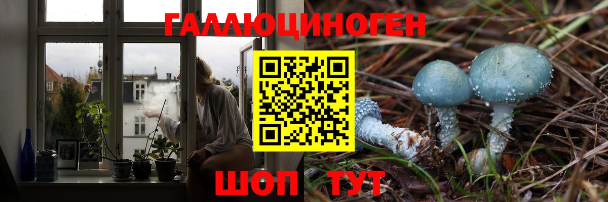 Галлюциногенные грибы Psilocybine cubensis  Вход с VPN  Черногорск  Галлюциногенные грибы MAGIC MUSHROOMS 